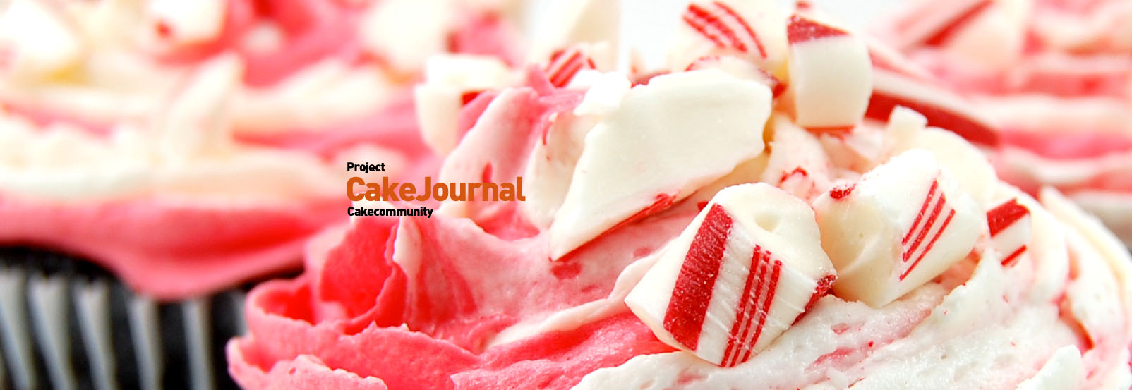 cakejournal