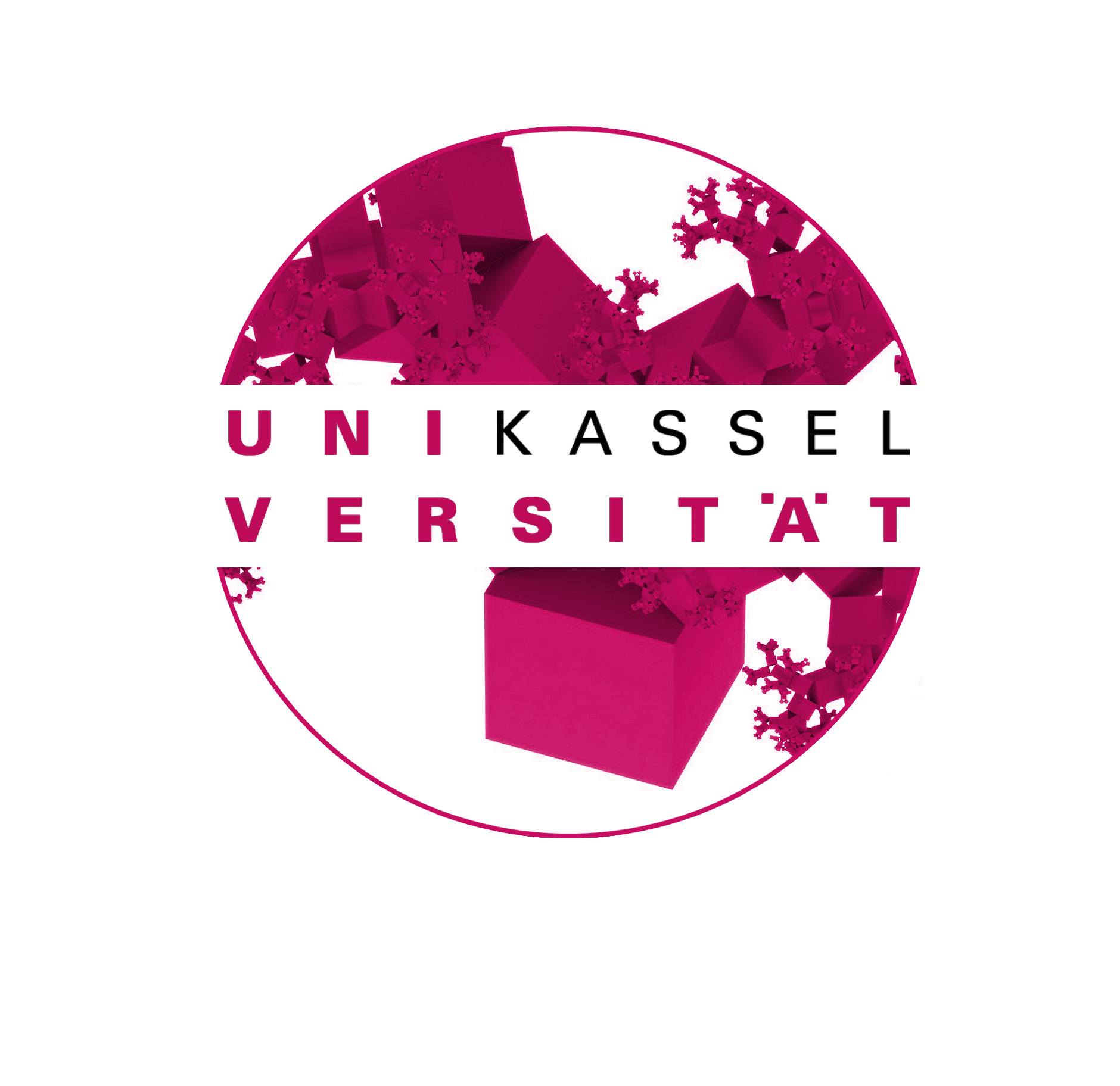Universität Kassel website logo