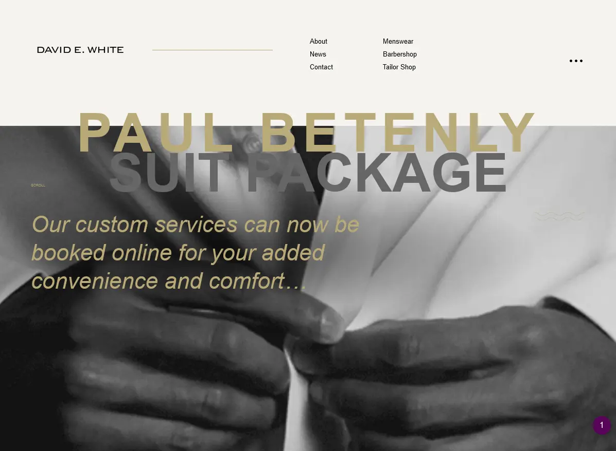 David E. White homepage development