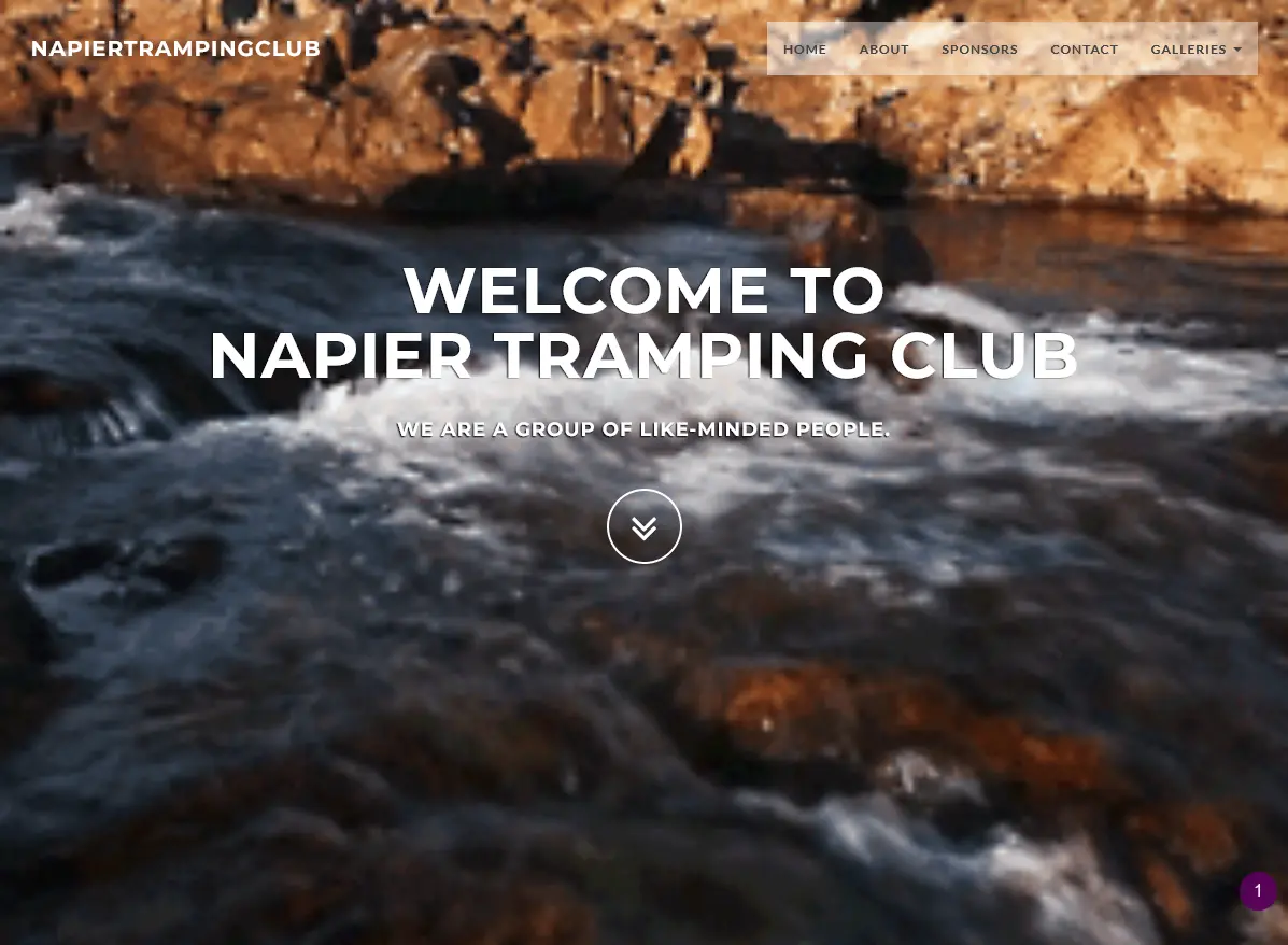 Napiertrampingclub frontpage design