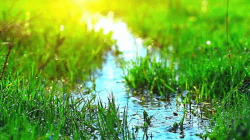 Green sustainable ecommerce