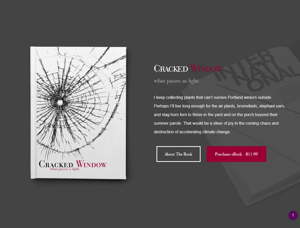 Cracked Window — what passes as light - The Book milo 3oneseven Design