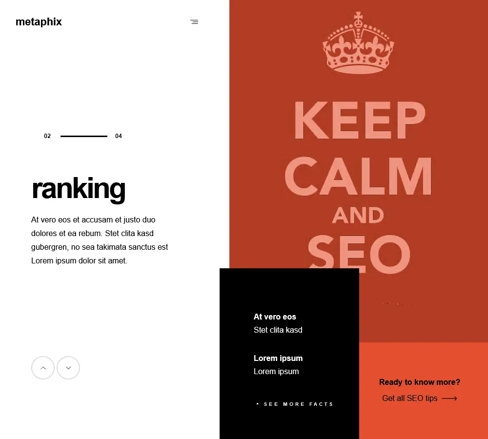 MetaPhix - The SEO Gurus