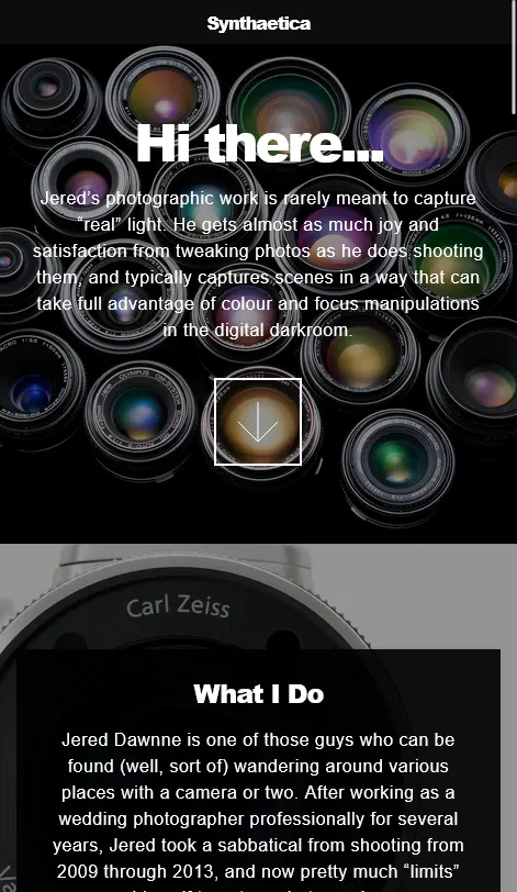Synthaetica design & development of a portfolio