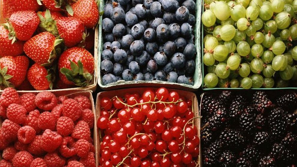 rollagranola ecommerce shopify design