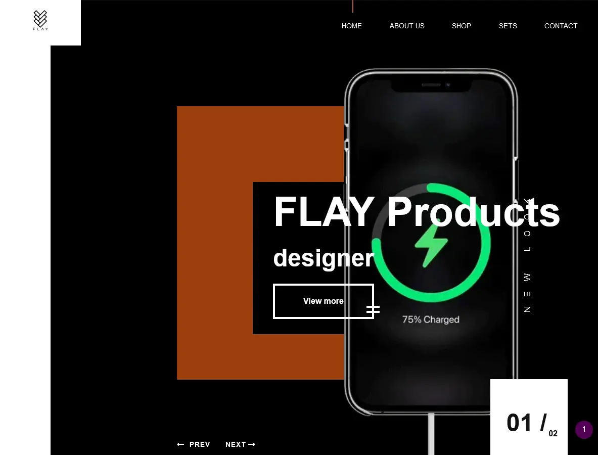 FLAY  ecommerce design