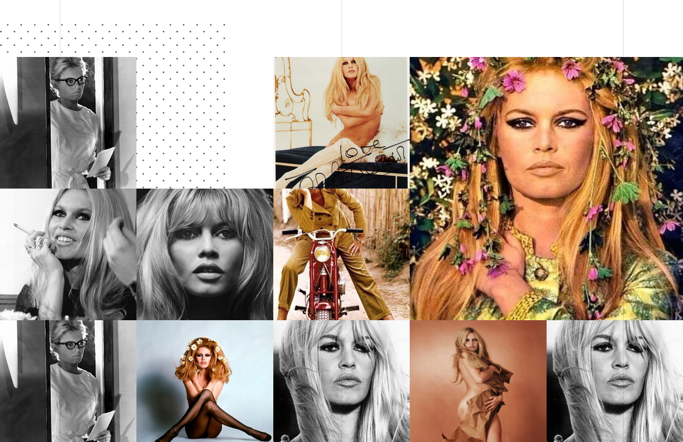 Bardot features over 40+ fashion sections