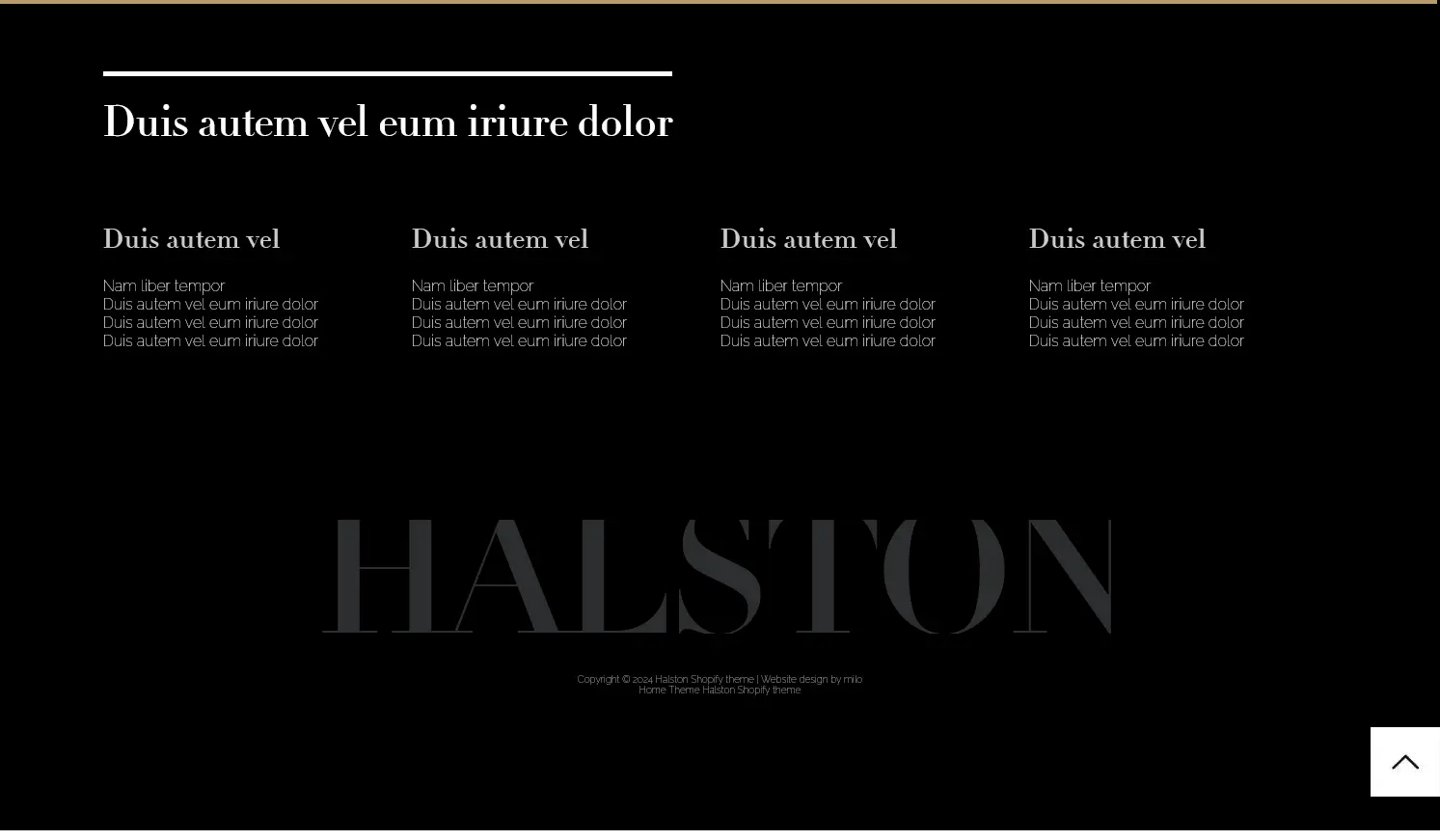HTX Halston theme footer section design