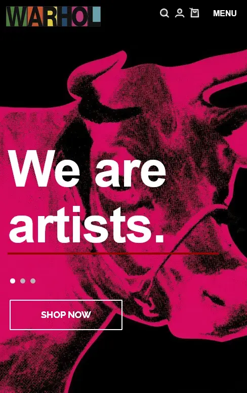 aesthetic photo gallery AW Warhol template