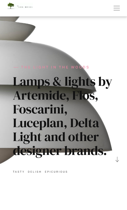 The Light in the Woods