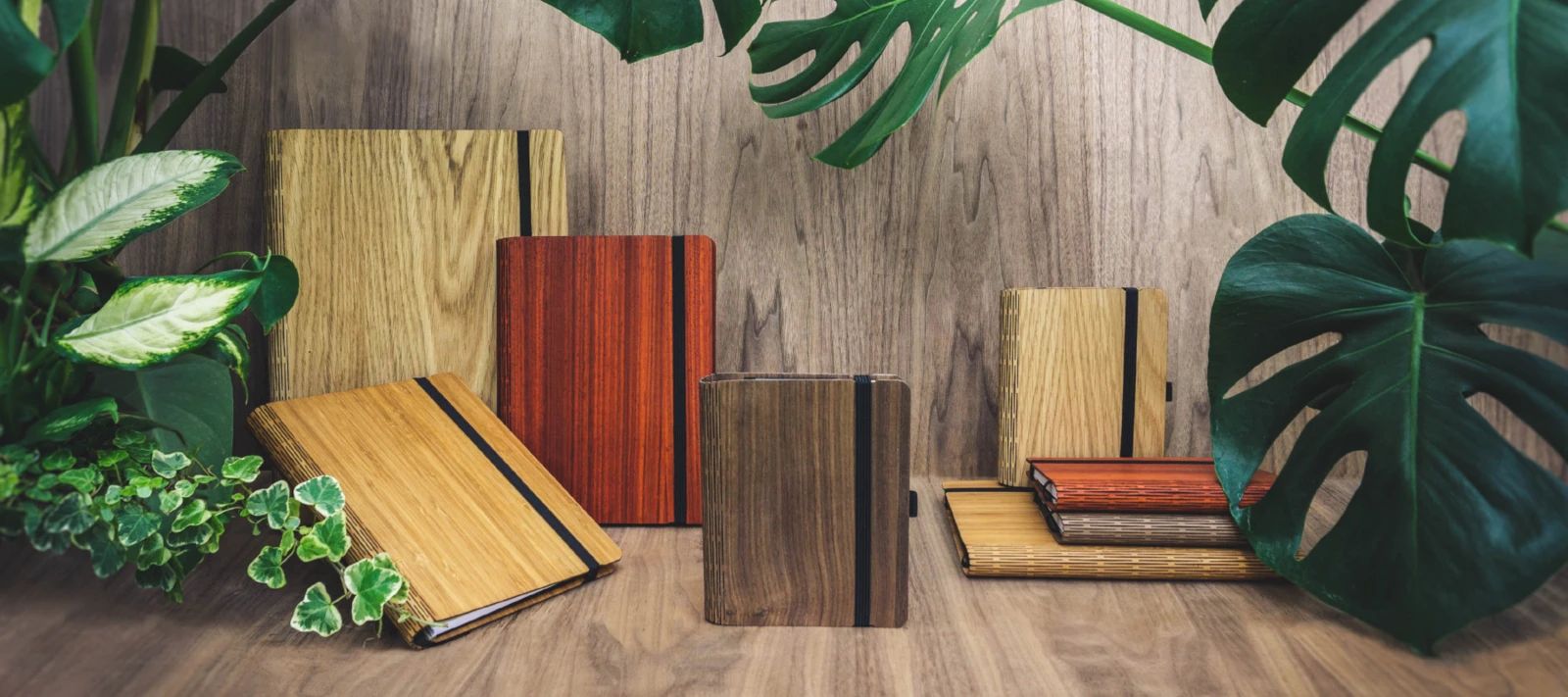 Jungholz-Design Sichtbarkeitsstrategie