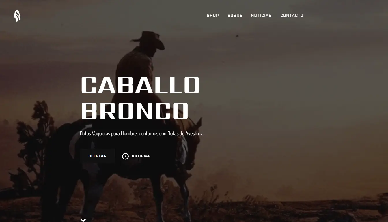 CaballoBronco homepage ecommerce shopify design