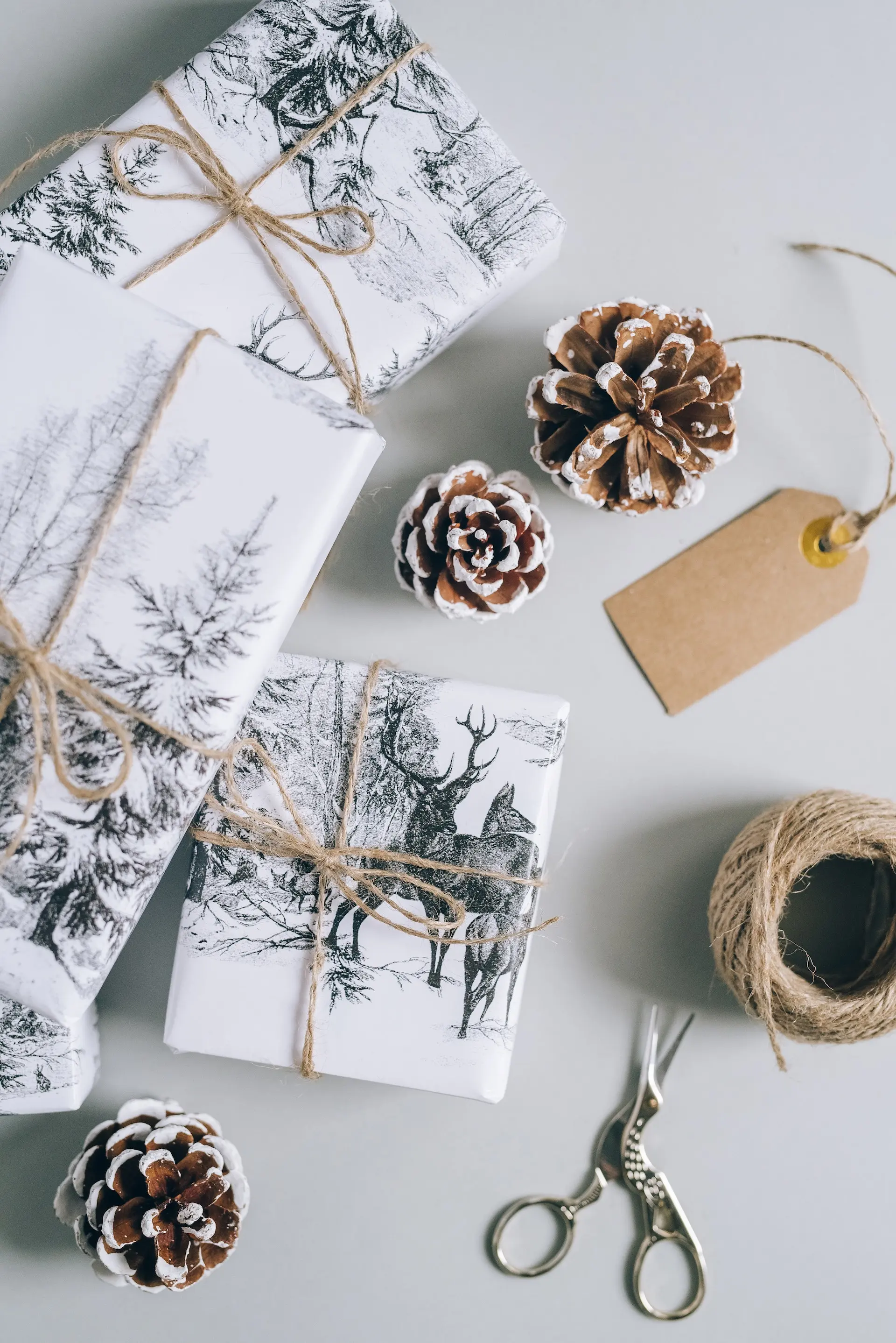 Kühn, Günter Reichel & Björn Köhler