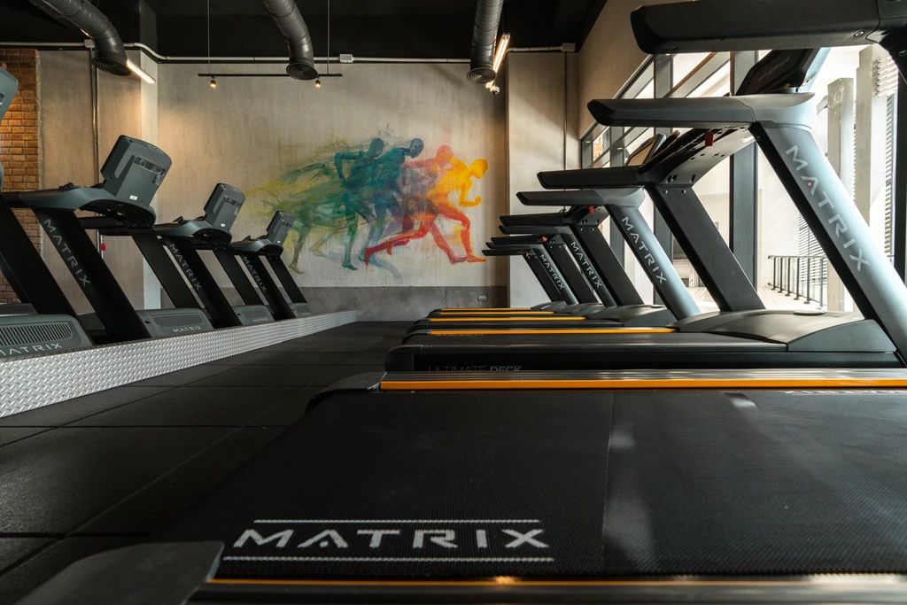 Shopify shop for Wellness Pro Fitness Equipment