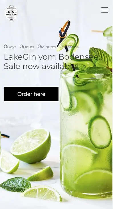 LakeGin  mobile ecommerce shopify design