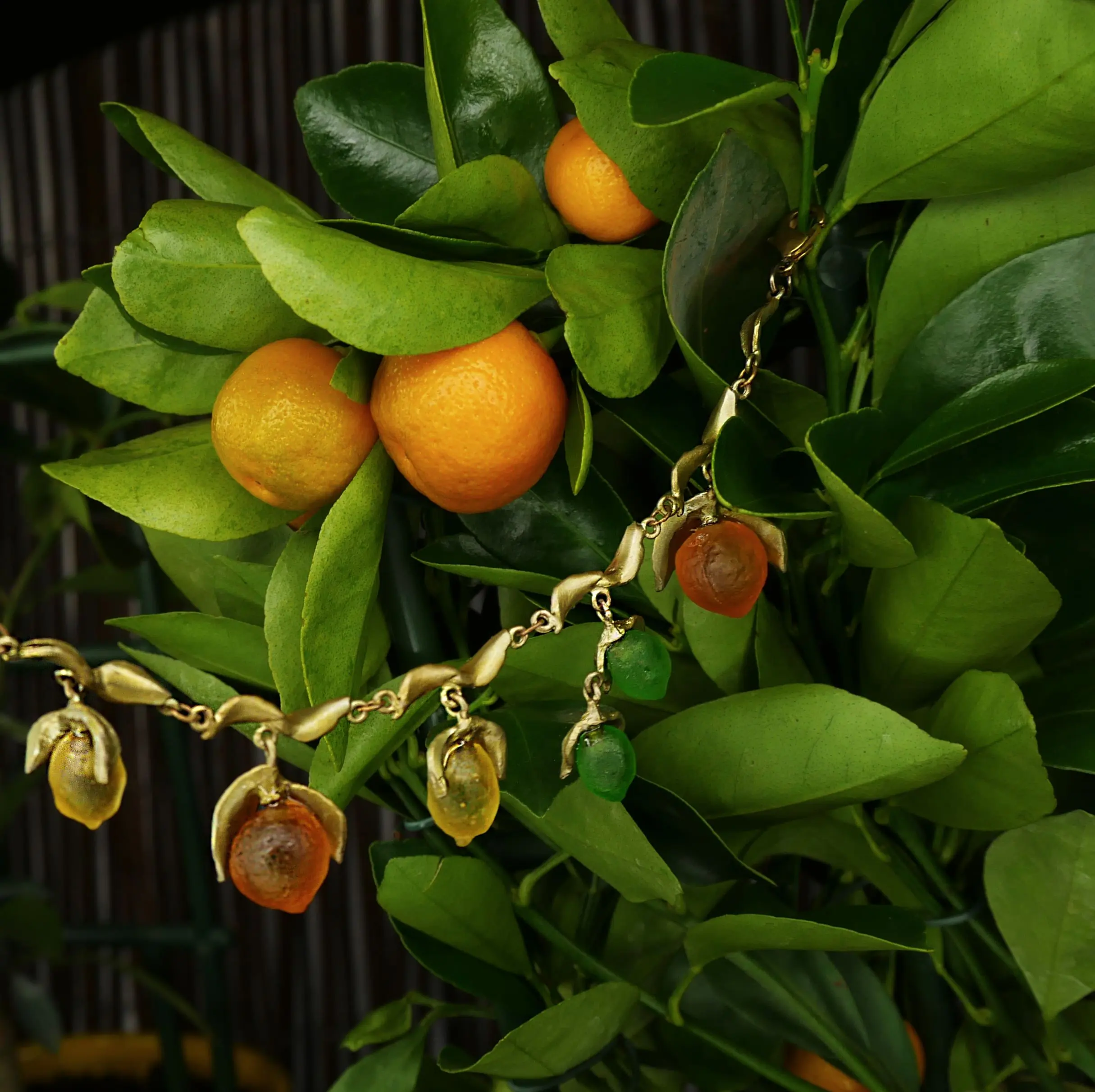 Michael Michaud Jewellery and the Lemon Tree Trust