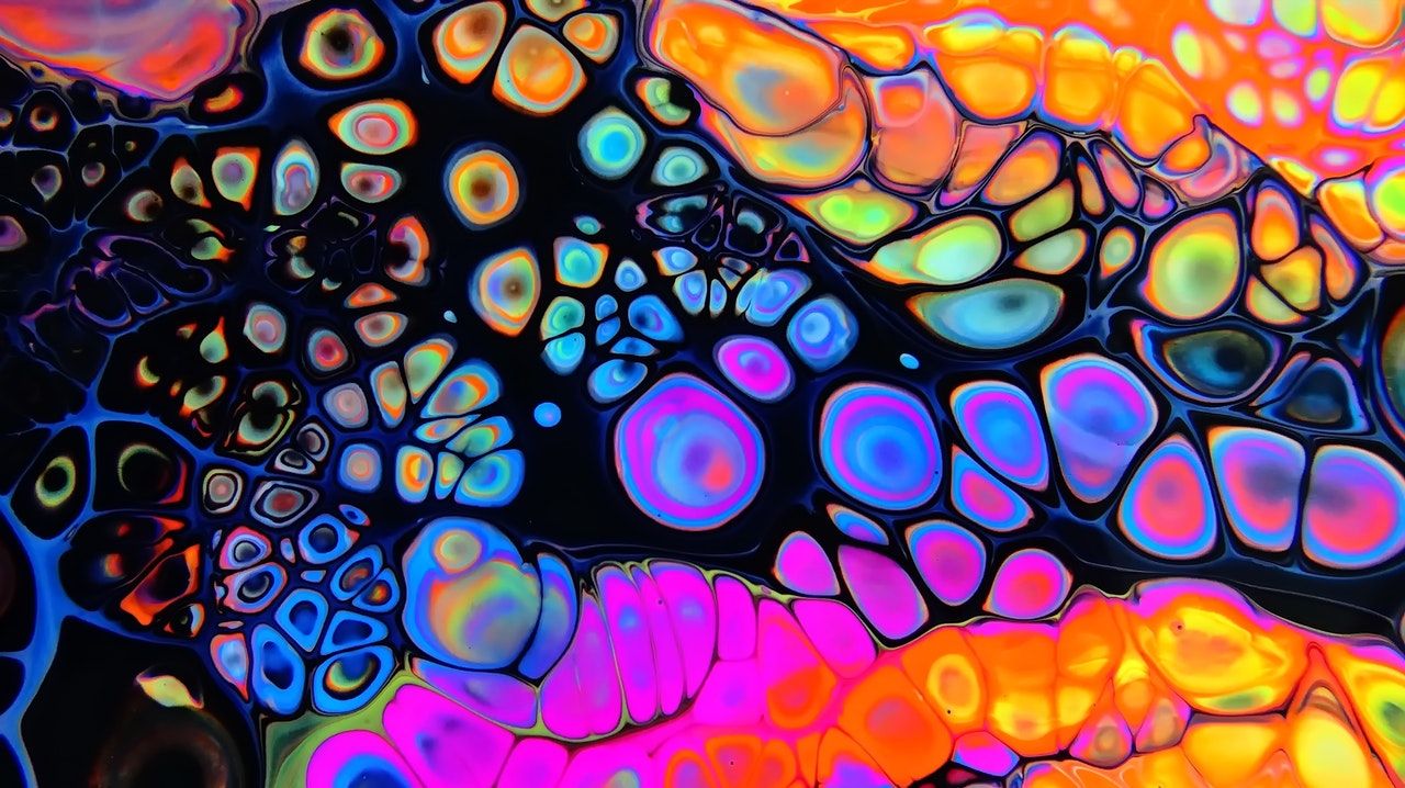 Insane Labz Supplements & Apparel