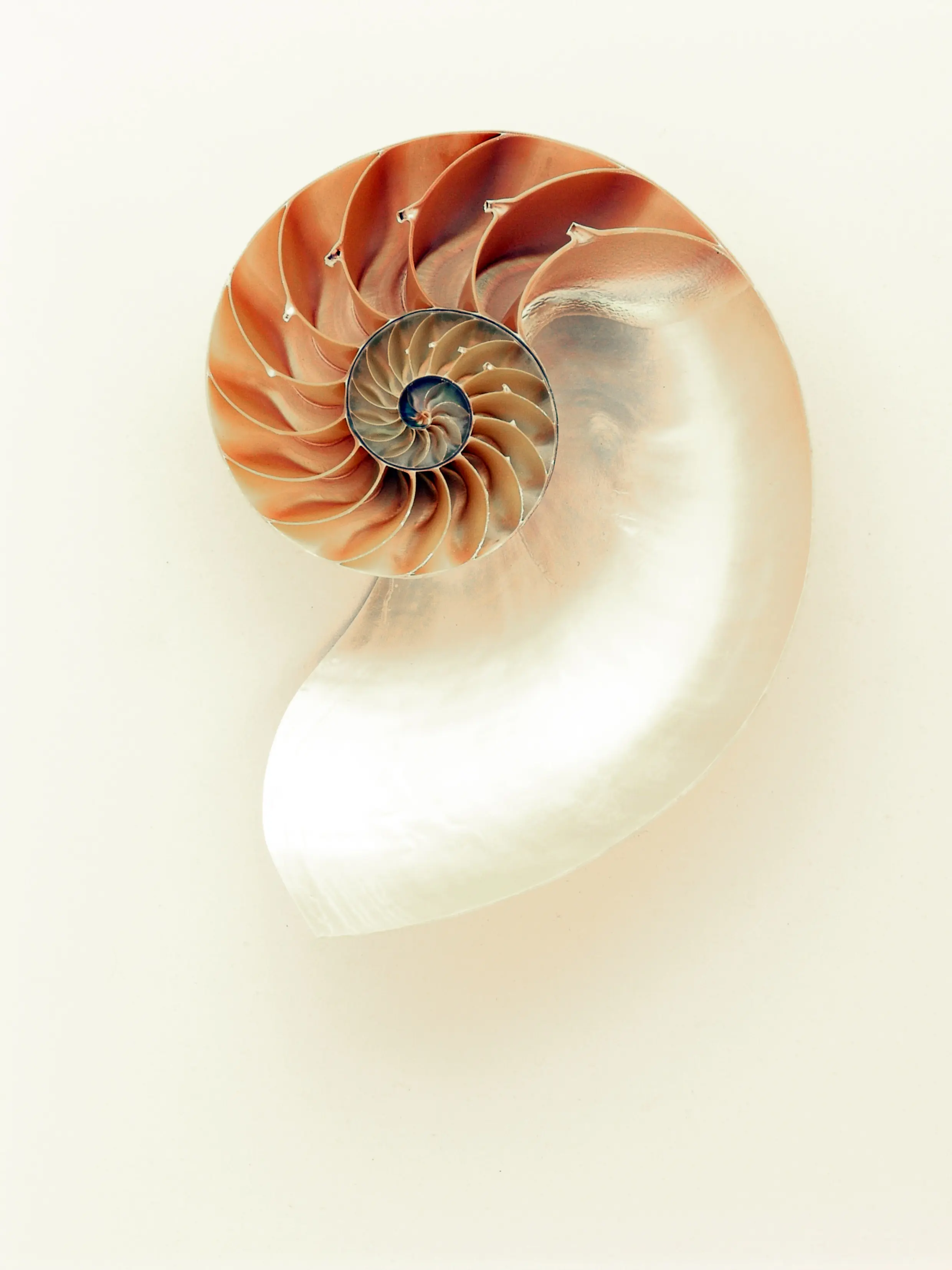Nani Pearl