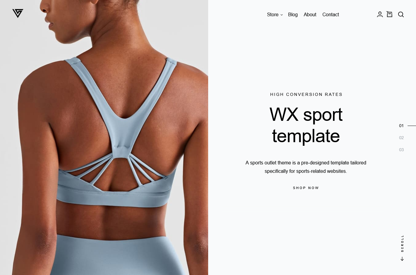 ecommerce theme template