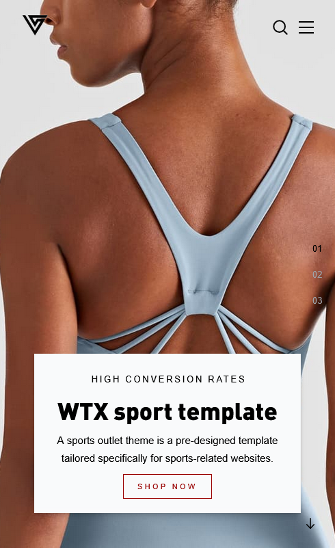 Sport ecommerce theme