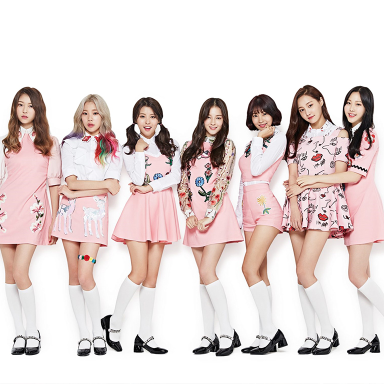 Momoland di Nolae