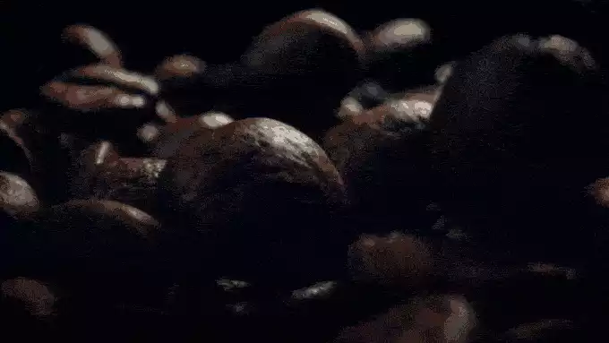 Kaffee hoppla