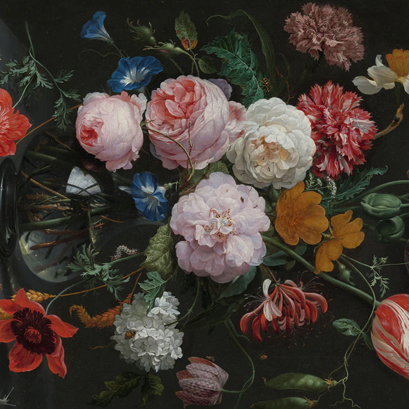 Explore-BIEN-moves   B2B wholesale