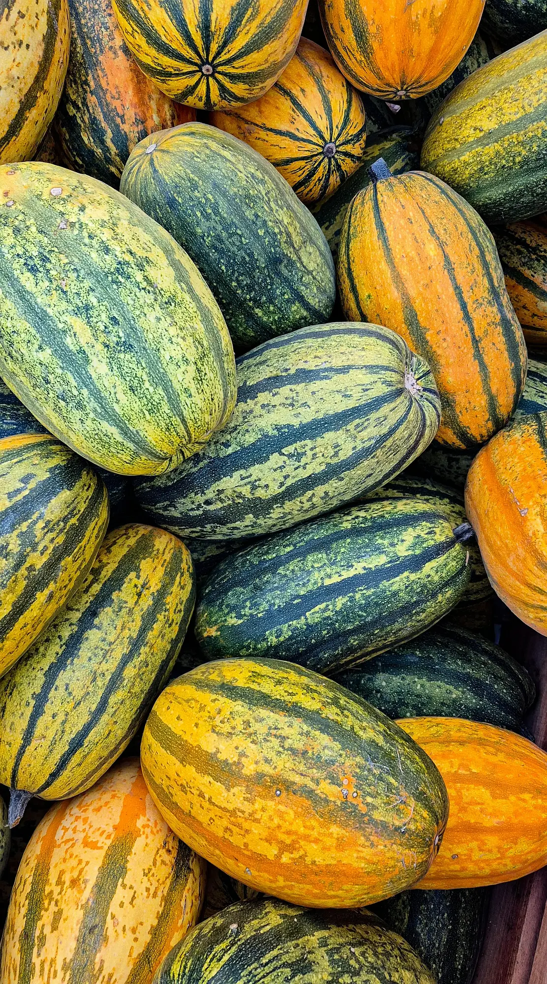 migros retail essence