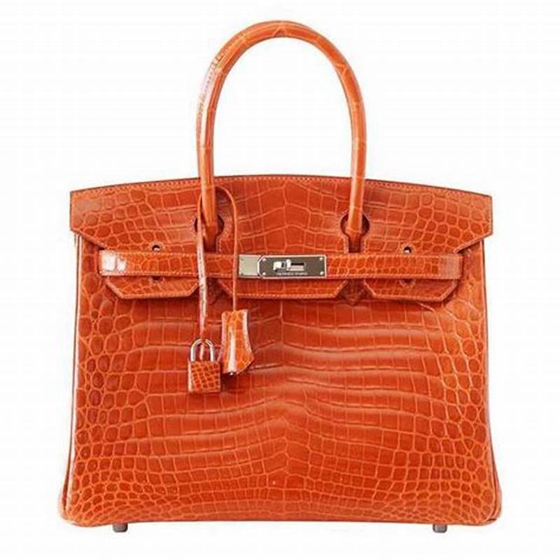 Hermes Birkin 30 Bag in Alligator Leather