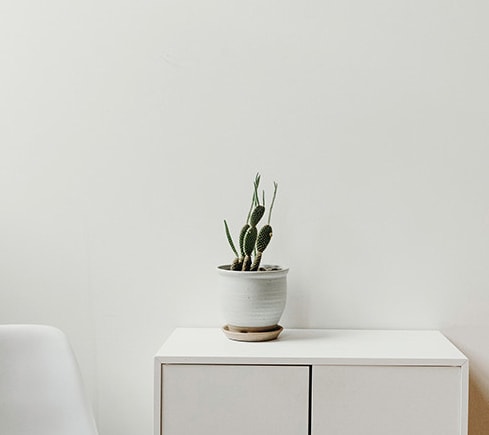 Eames Shopify Store Template Theme